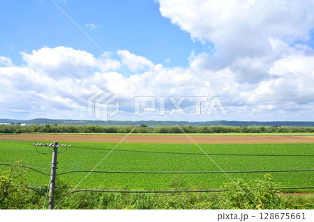 JR北海道、根室本線の池田駅から常豊信号場までの車窓風景 128675661