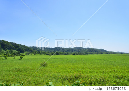 JR北海道、根室本線の常豊信号場から白糠駅までの車窓風景 128675938