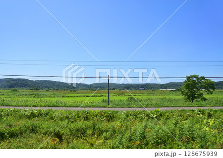 JR北海道、根室本線の常豊信号場から白糠駅までの車窓風景 128675939