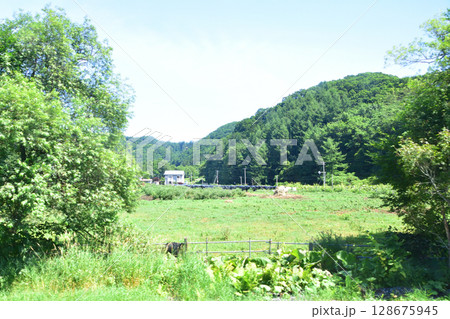 JR北海道、根室本線の常豊信号場から白糠駅までの車窓風景 128675945