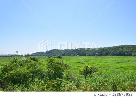 JR北海道、根室本線の常豊信号場から白糠駅までの車窓風景 JR北海道、根室本線の常豊信号場から白糠駅までの車窓風景 128675952