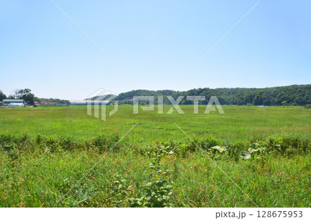 JR北海道、根室本線の常豊信号場から白糠駅までの車窓風景 128675953