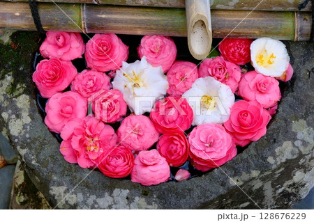 京都の十輪寺の花手水 京都の十輪寺の花手水 128676229