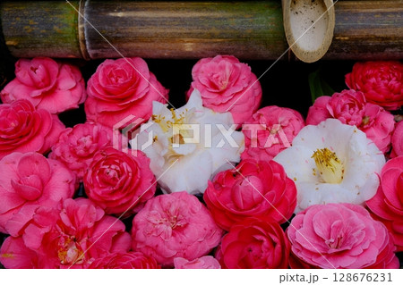 京都の十輪寺の花手水 京都の十輪寺の花手水 128676231