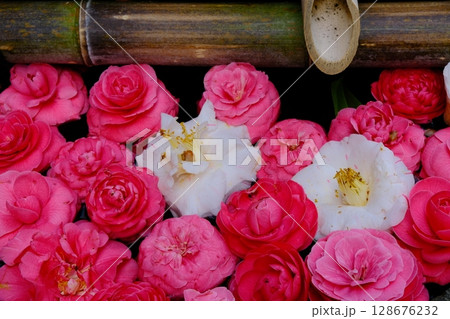 京都の十輪寺の花手水 128676232