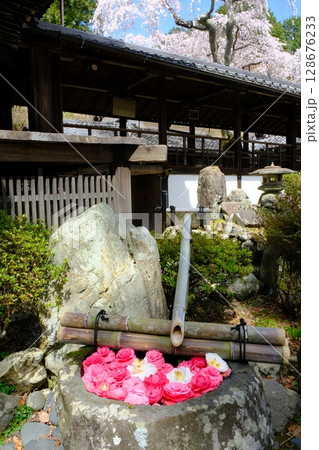 京都の十輪寺の花手水 京都の十輪寺の花手水 128676233