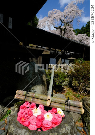 京都の十輪寺の花手水 128676234
