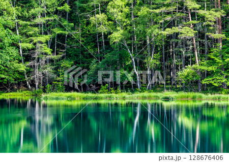 長野 御射鹿池 深緑の幻想的な水鏡 長野 御射鹿池 深緑の幻想的な水鏡 128676406