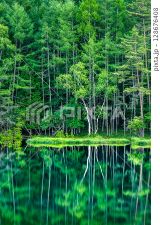 長野 御射鹿池 深緑の幻想的な水鏡 長野 御射鹿池 深緑の幻想的な水鏡 128676408