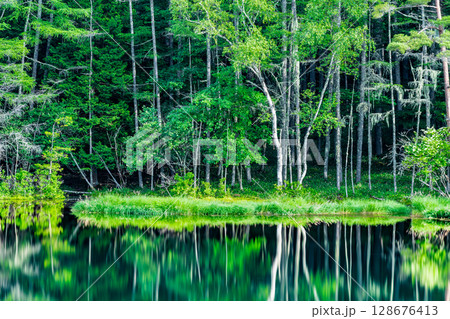 長野 御射鹿池　深緑の幻想的な水鏡 128676413