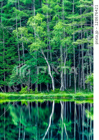 長野 御射鹿池　深緑の幻想的な水鏡 128676421