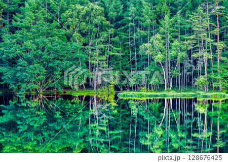 長野 御射鹿池　深緑の幻想的な水鏡 128676425