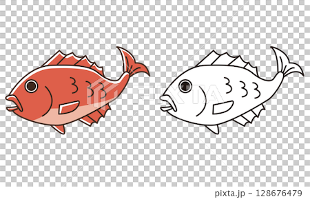 Cute sea bream line drawing illustration 128676479