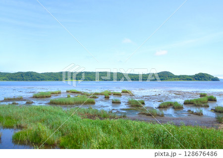 JR北海道、根室本線の厚岸駅から浜中駅までの車窓風景 128676486