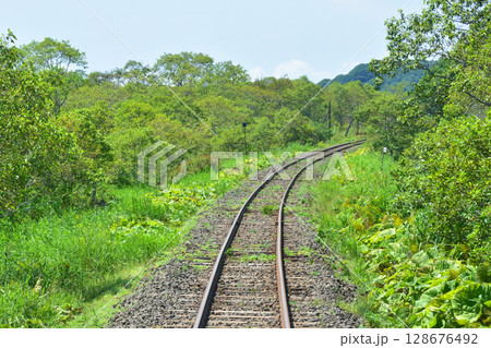 JR北海道、根室本線の厚岸駅から浜中駅までの車窓風景 JR北海道、根室本線の厚岸駅から浜中駅までの車窓風景 128676492