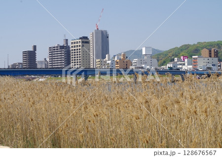 広島太田川放水路の景色 128676567