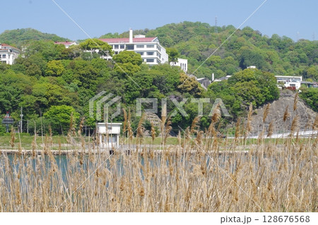 太田川放水路に架かる橋の景色 128676568