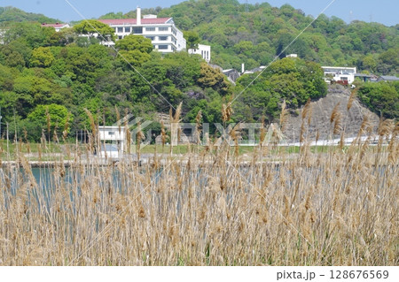 広島太田川放水路の景色 128676569