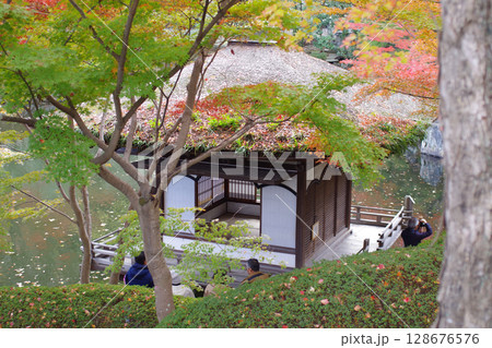 和歌山城公園紅葉渓庭園の茶室の景色 128676576