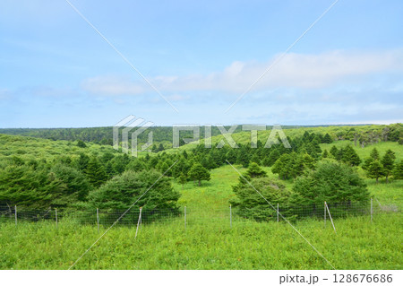JR北海道、根室本線の厚床駅から落石駅までの車窓風景 128676686