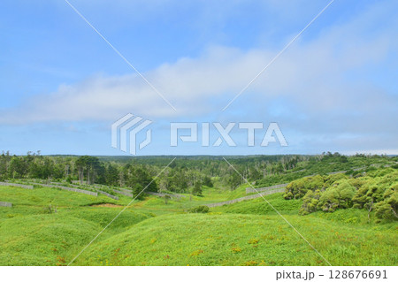 JR北海道、根室本線の厚床駅から落石駅までの車窓風景 128676691