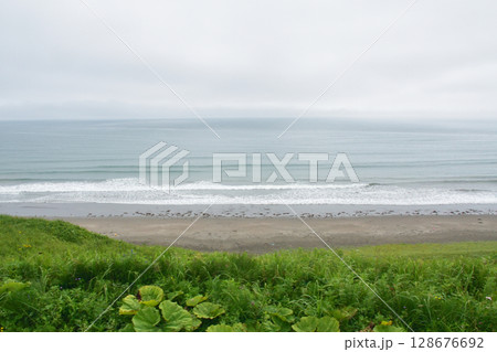 JR北海道、根室本線の厚床駅から落石駅までの車窓風景 128676692