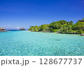 エメラルドグリーンの海とモルディブの青い空 128677737