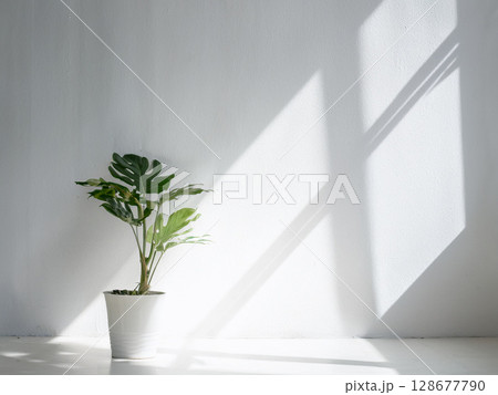 斜めに差し込む光と影が美しい、大人っぽい室内と観葉植物 128677790