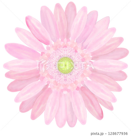 ガーベラ(水彩画風) ガーベラ(水彩画風) 128677936