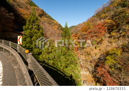 国道140号線と紅葉に彩られた荒川渓谷｜秩父市秋の絶景 128678331