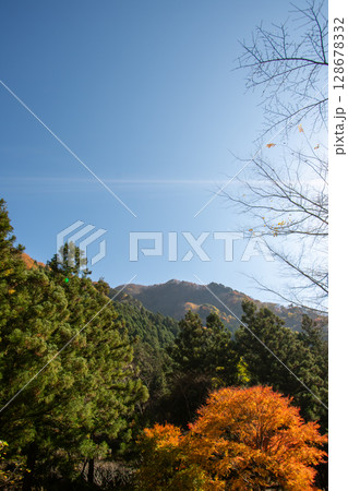 秋晴れの青空と紅葉、秩父の山と森の風景 秋晴れの青空と紅葉、秩父の山と森の風景 128678332