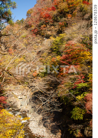 荒川渓谷の紅葉と岩肌　秩父市の秋景色と自然美 128678339