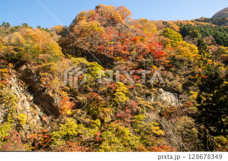 秩父市の山肌を彩る紅葉と秋の青空の絶景風景 秩父市の山肌を彩る紅葉と秋の青空の絶景風景 128678349