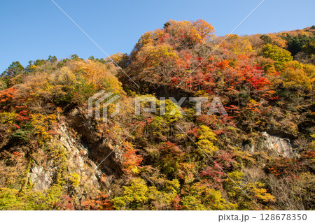 秩父市の山肌を彩る紅葉と秋の青空の絶景風景 秩父市の山肌を彩る紅葉と秋の青空の絶景風景 128678350