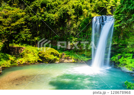 新緑の慈恩の滝　【大分県日田市】 128678968