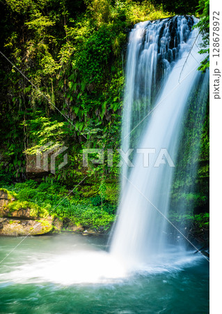 新緑の慈恩の滝　【大分県日田市】 128678972