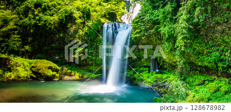 新緑の慈恩の滝　パノラマ　【大分県日田市】 128678982