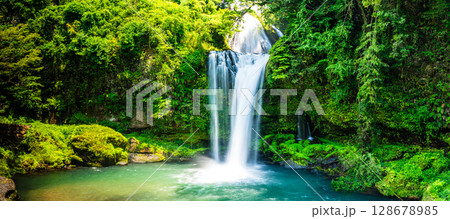 新緑の慈恩の滝　パノラマ　【大分県日田市】 128678985