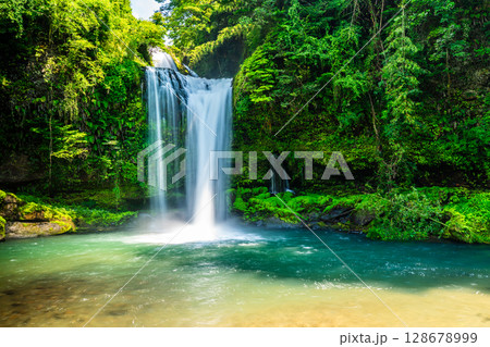 新緑の慈恩の滝　【大分県日田市】 128678999