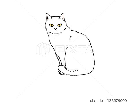 横向きに座るって正面を見る白猫のイラスト 128679000