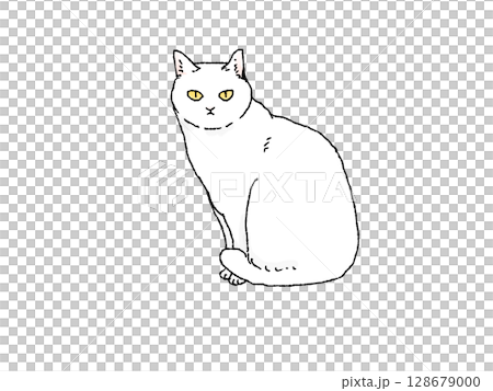 横向きに座るって正面を見る白猫のイラスト 128679000