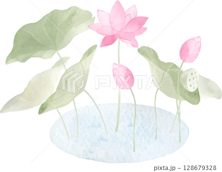 水彩で描いた蓮の花のイラスト2 128679328