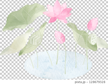 水彩で描いた蓮の花のイラスト2 128679328
