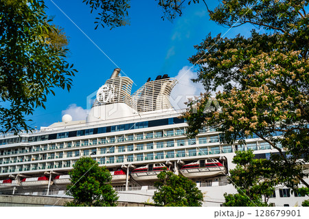 長崎港客船入港（Star Navigator）松ヶ枝埠頭【長崎市】 128679901