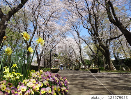 四月のアンデルセン公園-117 四月のアンデルセン公園-117 128679928