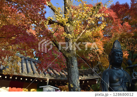 秋の今熊野観音寺　大師堂とぼけ封じ観音(京都市東山区) 128680012
