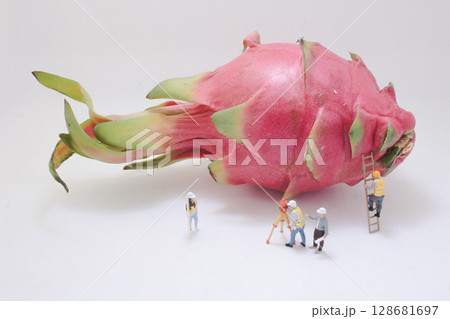 Miniature Workers Examining a Giant Dragon Fruit in a Creative Situation 128681697