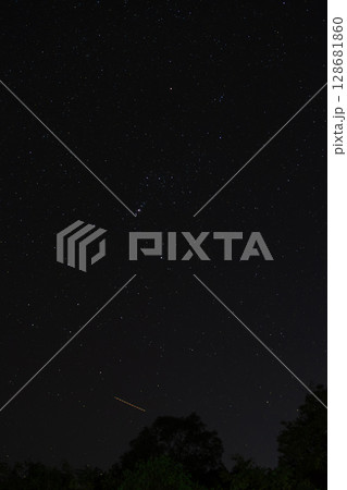 神奈川県真鶴町で撮影した冬の星空と森のシルエット 神奈川県真鶴町で撮影した冬の星空と森のシルエット 128681860