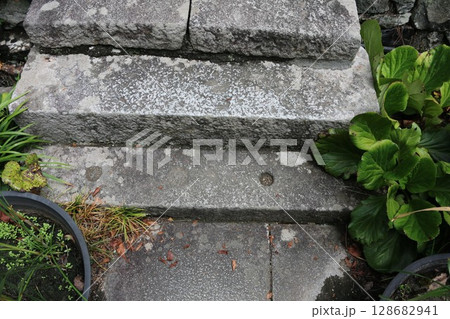 四国霊場 八十一番札所 白峯寺 四国霊場 八十一番札所 白峯寺 128682941