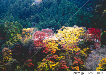 紅葉に染まる山 128683004